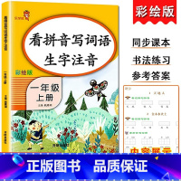 1上-看拼音写词语 小学通用 [正版]乐学熊小学生看拼音写词语生字注音一二三四五六年级上下册语文专项训练彩绘版同步训练题