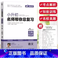 木头马名师帮你总复习 [语文] 小学六年级 [正版]2023新版木头马小升初名师帮你总复习名师特训语文小学六年级上下册考