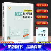 [代数]典型题专项训练 九年级/初中三年级 [正版]新版 初中数学中考版代数高效训练计算专题冲关几何典型题专项训练发散思