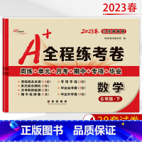 [正版]2023春 A+全程练考卷六年级数学下册江苏教育版JS a+全程练考卷小学6年级数学下苏教版同步练习周练单元月考