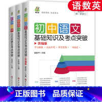 语数英 共3本 初中通用 [正版]阳光旭日 初中基础知识及考点突破语文英语历史生物地理初一二三七八九年级中考数学物理化学