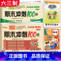 [2本]下册 语文人教版+数学青岛版(六三制) 小学二年级 [正版]2024春期末冲刺100分二年级上册下册语文人教版+