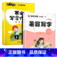 五年级写字作业(寒假+暑假) [正版]寒假写字作业天天练一二三四五六年级同步写字课人教版上下册预习复习强化巩固儿童小学生