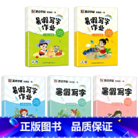 1-6年级暑假作业(5本) [正版]寒假写字作业天天练一二三四五六年级同步写字课人教版上下册预习复习强化巩固儿童小学生铅