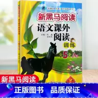 语文课外阅读训练A版 小学五年级 [正版]2024新版 新黑马阅读语文课外阅读训练小学5年级A版B版五年级上册下册阅读理