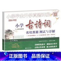古诗词 小学毕业升学真题详解 小学升初中 [正版]2023新版小升初小学古诗文专项训练测试卷真题名校分班卷小学生三四五年