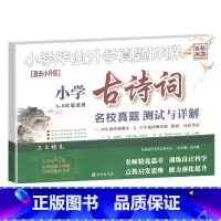 古诗词 小学毕业升学真题详解 小学升初中 [正版]2023新版小升初小学古诗文专项训练测试卷真题名校分班卷小学生三四五年