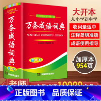 [正版]万条成语词典双色本小学生中学生中华成语大词典四字词语解释语文字典多全功能工具书籍同义近义反义词 湖南教育出版社