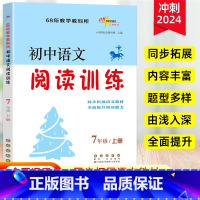 初中语文阅读训练 七年级上 [正版]初中语文阅读训练七年级初一上册同步阅读必刷题复习资料七年级语文阅读理解专项训练记叙文