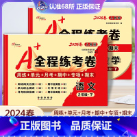 语文+数学 人教版 二年级下 [正版]2024春A+全程练考卷二年级语文数学下册人教版RJ a+全程练考卷小学2年级下人