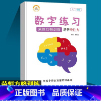 数字练习(入门+初级) 幼小衔接 [正版]荣恒方格训练科学提升专注力古诗词数字色彩干扰图练习儿童益智游戏全脑开发幼儿园小