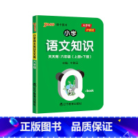 语文 小学六年级 [正版]PASS绿卡 六年级小学语文知识天天背Qbook基础知识点手册全国通用6年级上下全一册同步词语