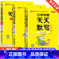 [全套3本]4下 语文+数学+英语人教版 小学四年级 [正版]2023新版小学学霸天天计算天天默写四年级下册语文数学英语