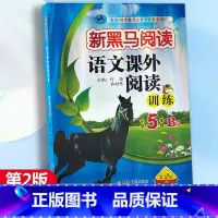 语文课外阅读训练 B版 五年级下 [正版]2024新版 新黑马阅读语文课外阅读训练小学5年级B版五年级下册阅读理解训练每