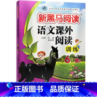 语文课外阅读训练B版 小学六年级 [正版]2023新版 新黑马阅读语文课外阅读训练小学6年级A版B版六年级上册下册阅读理