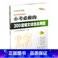 [正版]全国68所小学小考必做的300道语文综合应用题 小升初 语文 练习题