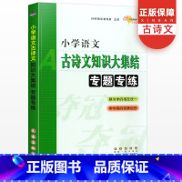 [语文阅读知识]大集结专题专练 小学升初中 [正版]小学语文古诗文知识/综合/语文阅读大集结专题专练 升学夺冠小升初总复