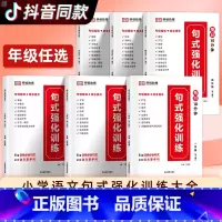 [语文修辞手法]1-6年级全一册 小学二年级 [正版]新版 句式强化训练大全一二三四五六年级语文人教版 小学语文专项同步