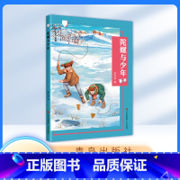 陀螺与少年 小学通用 [正版]陀螺与少年 高洪波zs 附赠阅读手册 青岛出版社