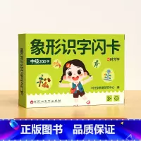 中级象形识字闪卡 [正版]幼儿象形识字闪卡幼儿园专注力划消卡儿童小学生图形认知记忆力幼小衔接早教教具基础进阶强化全面均衡