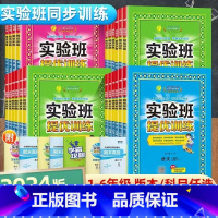 语文-人教版 二年级下 [正版]2024春实验班提优训练三年级下册一年级二年级四年级五六年级上册下册语文数学英语人教版苏