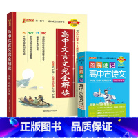 文言文+古诗文 高中通用 [正版]2024高中文言文完全解读高中语文古诗文译注及赏析详解一本全人教版必修选修全解全析阅读