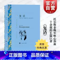 复活 [正版]复活 译文名著精选 俄罗斯托尔斯泰著 安东 南风译 世界名著 外国文学小说书籍 外国名著经典读物 书 上海