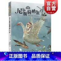 [正版]我爱读经典尼尔斯骑鹅旅行记 世界经典童话3-6岁读物李俍民著文学的瑰宝著名翻译家实力译作国际大奖图画师绘图 少年