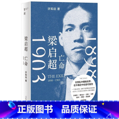 梁启超:亡命(1898—1903) [正版]走出我房间/死亡日志/多谈谈问题/燕东园左邻右舍/把自己作为方法争夺记忆夜游