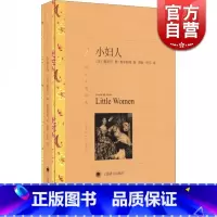 [正版]小妇人 书籍 电影长篇原着 译文名著精选 奥尔科特着 洪怡 叶宇译 世界名着 外国文学 外国名著经典读物 书 上