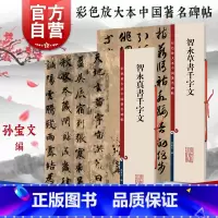 [正版]智永真书千字文/智永草书千字文 彩色放大本中国著名碑帖孙宝文编繁体旁注上海辞书出版社书法篆刻毛笔字高清名家墨迹临