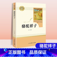 骆驼祥子 [正版]骆驼祥子和海底两万里原著全套2册完整版无删减人教版老舍初中版人民教育出版社文学名著初一初中生七年级下册