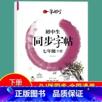 国一下册 小学通用 [正版]小学生练字帖同步字帖人教版语文一 二 三年级 四年级 五 六 国一上册下册罗扬字帖每日一练一