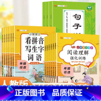 看拼音+句子训练 一年级下 [正版]看拼音写词语句子训练阅读理解小学1-6年级专项训练人教版阅读理解专项训练书拼音拼读练