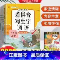 看拼音写生字词语1上 小学一年级 [正版]小学一年级上册语文同步专项训练 看拼音写生字词语拼音训练人教版生字注音看拼音写