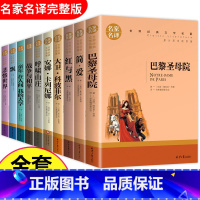 安娜卡列尼娜 [正版]世界名著名家名译经典文学书籍10-12-15周岁课外书物巴黎圣母院呼啸山庄简爱战争与和平红与黑青少