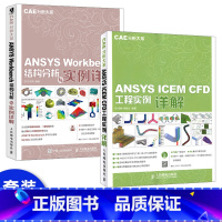 [正版]套装2本CAE分析大系 ANSYS ICEM CFD工程实例详解 ansys cfd工程应用基础教程书籍 ans