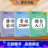 [3册]唐诗宋词+楷书入门+楷书常用2500 [正版]练字宝楷书凹槽练字帖3本装初学者成人手写练字男生女生字体漂亮字钢笔