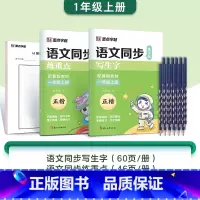 [2本+铅笔]一年级上册(含AI测评) [正版]字帖一年级二三年级上册小学生练字人教版语文同步练字帖四五六年级下册生字描