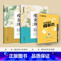 [3册]瘦金体硬笔摹帖套装 [正版]瘦金体字帖套装成人练字帖漂亮字体大学生硬笔书法字帖宋徽宗瘦金体字帖楷书临摹练习初学者