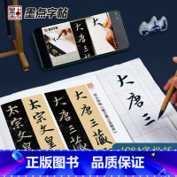 [正版]字帖集王羲之圣教序实临影片技法全文双机位影片实临版碑帖全集临本初学入门书法临摹毛笔字帖湖北美术出版社王羲之行书字