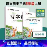 [语文临摹]5年级上册(送听写默写本) 小学五年级 [正版]五年级练字帖小学生每日一练写字帖2023年荆霄鹏楷书字帖小学