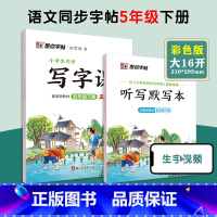 [语文临摹]5年级下册(送听写默写本) 小学五年级 [正版]五年级练字帖小学生每日一练写字帖2023年荆霄鹏楷书字帖小学