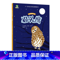 [1册]猫头鹰 [正版]3-6岁科学启蒙图画书共8册儿童绘本幼儿园绘本阅读中大班幼儿绘本0-3岁故事书睡前故事宝宝早教书