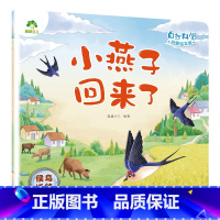 [1册]小燕子回来了(候鸟迁徙) [正版]自然科学启蒙儿童绘本3-6岁绘本幼儿园绘本阅读太空宇宙书籍萤火虫发光动物冬眠月