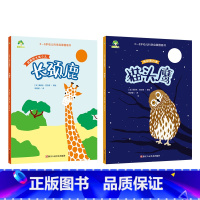 [2册] 长颈鹿+猫头鹰 [正版]3-6岁科学启蒙图画书共8册儿童绘本幼儿园绘本阅读中大班幼儿绘本0-3岁故事书睡前故事