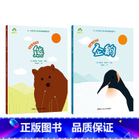 [2册]企鹅+熊 [正版]3-6岁科学启蒙图画书共8册儿童绘本幼儿园绘本阅读中大班幼儿绘本0-3岁故事书睡前故事宝宝早教