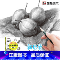 [正版]墨点美术新启蒙素描基础教程蔬果素描零基础学生素描绘画入门教程书籍带视频教学单体静物实物结构明暗排线结构绘图铅笔绘