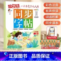 一手漂亮字天天练 小学三年级上册[单本] 小学通用 [正版]控笔小学生练字帖一年级二年级三四五六字帖上册下册笔画笔顺练语