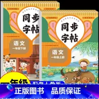 语文同步字帖 一年级上 [正版]一年级上下册语文同步字帖每日一练人教版 练字帖小学生下学期小学练字生字字贴临摹带笔顺笔画